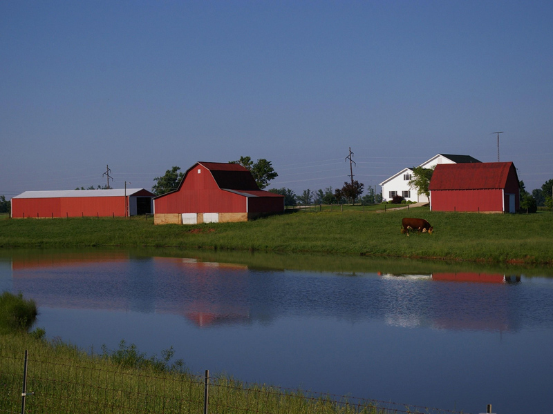 LaRue County rural farm life, farms in Hodgenville Kentucky, LaRue County farms barns
